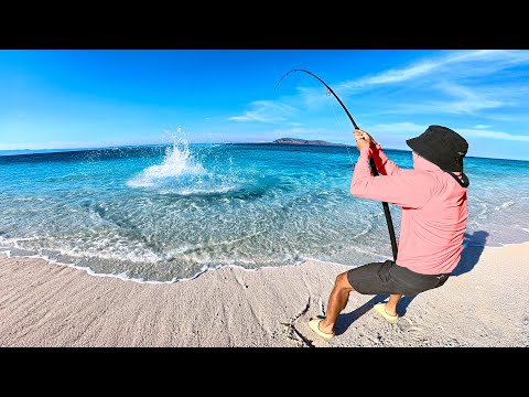 Tropical Island Lure Challenge – Epic Catch & Cook Adventure!