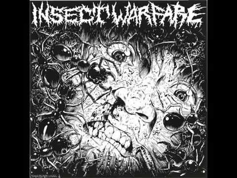 Insect Warfare & Carcass Grinder [Full Split]