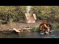 Building a Bushcraft Sawmill to Build a Log Cabin for Survival in the Wild, Catch and Cook