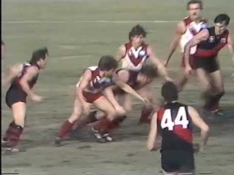 1982 Sydney Vs Essendon highlights