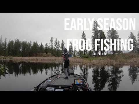 Early Season Frog Fishing for Bass