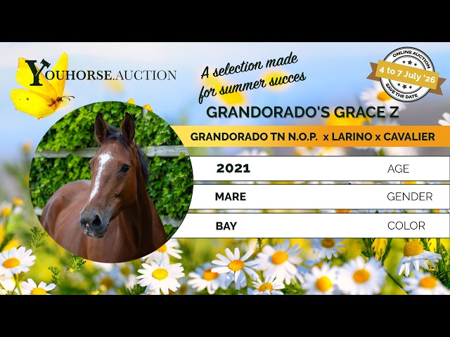 Grandorado's Grace Z