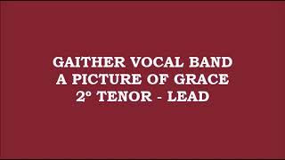 Gaither Vocal Band - A Picture of Grace (Kit - 2º Tenor - Lead)