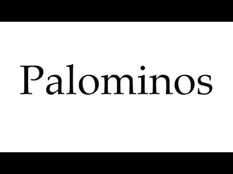 How to Pronounce Palominos