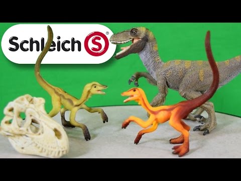 Schleich® BOX SET "Velociraptor on the Hunt" | with T. rex SKULL | Unboxing & Review