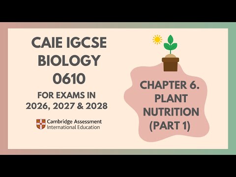 6. Plant Nutrition (Part 1) (1/3) (Cambridge IGCSE Biology 0610 for exams in 2026, 2027 and 2028)