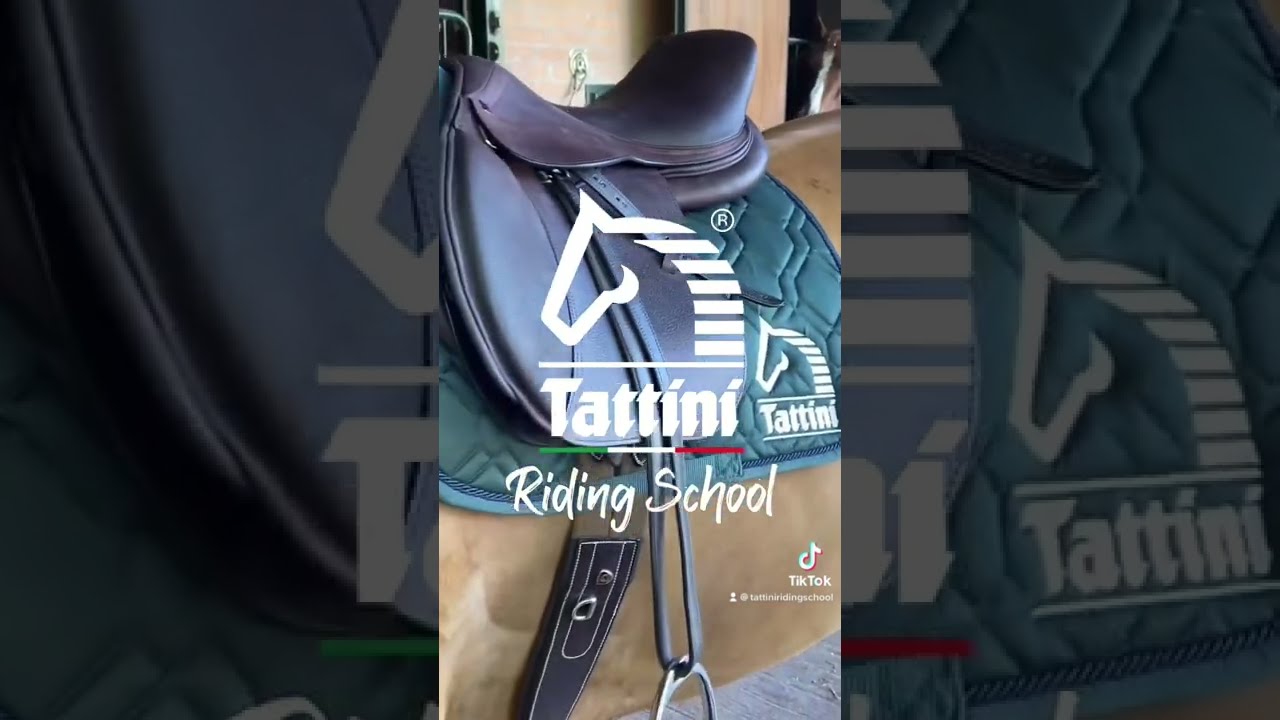 Tattini Riding School - Saddling the Horse