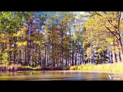 Trinny Beatz - (Infinity Trap) Infinity Trap Power-Beat