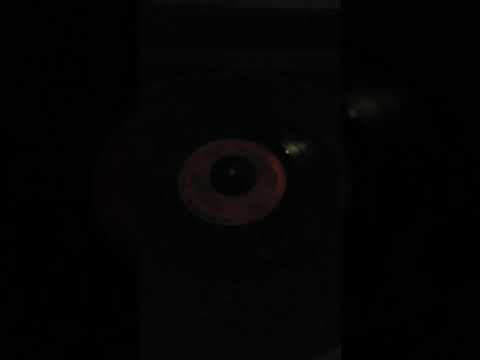 "Abe Snake For President" - Ben Dover