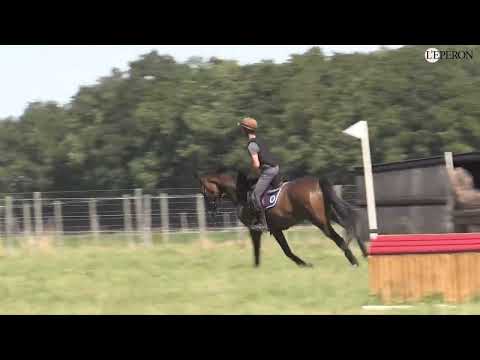 En pratique avec Christopher Six #1 | Travail du cheval de cinq ans sur le cross
