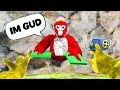 This Noob Uses HACKS Gorilla Tag