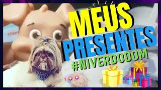 Vlog | Rotina do Meu Shihtzu, Fiz uma Festa de Aniversrio para o Meu Shihtzu!PRESENTES | Me de Pet