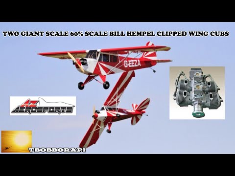 GIANT 60% SCALE CUBS DISPLAY - CLOSE & MIRROR FLYING AZ AEROSPORTS BMFA NATIONALS  FLIGHTLINE - 2019
