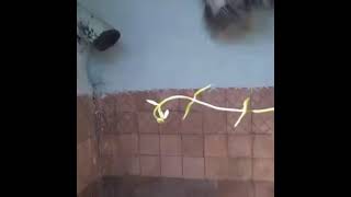 Cover art for говно спрячь