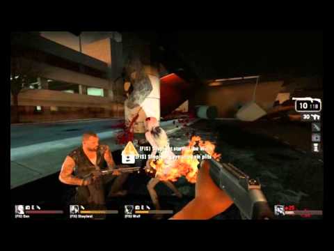 L4D/L4D2 - Svensk Hylling (A Tribute To Shepiwot)