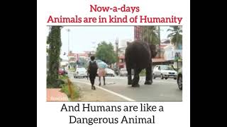 Animals bonding | Respect all | Humanity Whatsapp status | BumCutz