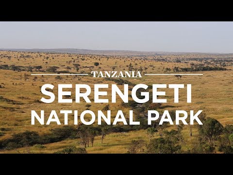 Serengeti National Park, Tanzania | Safari365