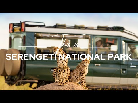 Serengeti National Park, Tanzania | Safari365