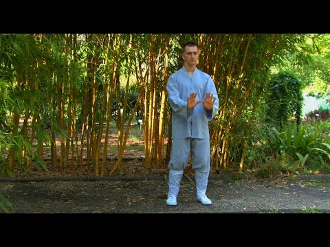 download lagu mp3 mp4 Qi Gong Exercices De Respiration, download lagu Qi Gong Exercices De Respiration gratis, unduh video klip Qi Gong Exercices De Respiration