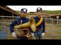The Best Of Jackass