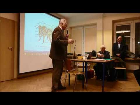 Pierś jak penis Zwiększyć męską pracę użytkownika