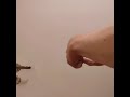 250ibs hand gripper 5 reps