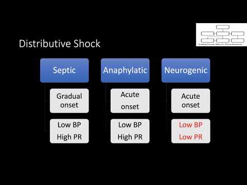 Concept maps: Approach to "A Patient with shock”