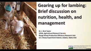 Gearing up for lambing Brief discussion on nutrition, health, and management