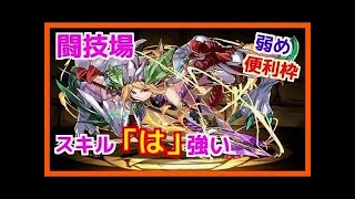【パズドラ実況】ソニア＝エル　試運転　スキルが優秀！　（ソニアエル）