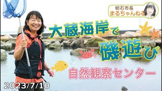 YouTube動画 「生き物と触れあおう!大蔵海岸 自然観察ゾーン」2023年7月10日