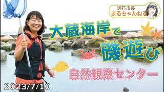 「生き物と触れあおう！大蔵海岸 自然観察ゾーン」2023年7月10日