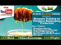 Episode 2 | Distance Training on Stingless Beekeeping Production | 1:00PM to 3:00PM Episode 2 | Distance Training on Stingless Beekeeping Production | 1:00PM to 3:00PM