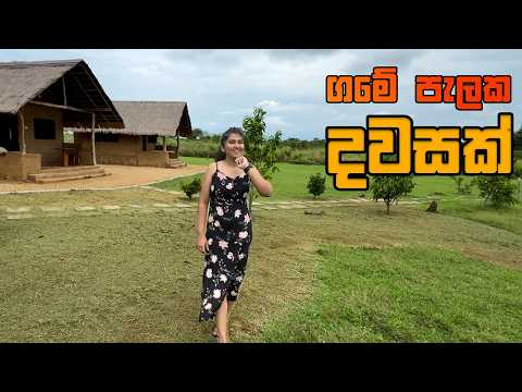 තණමල්විල පැලක ගමේ කෑමක් | Leaf Ali Malli Thanamalwilla 🇱🇰 | Sinhala Travel Vlog #travel