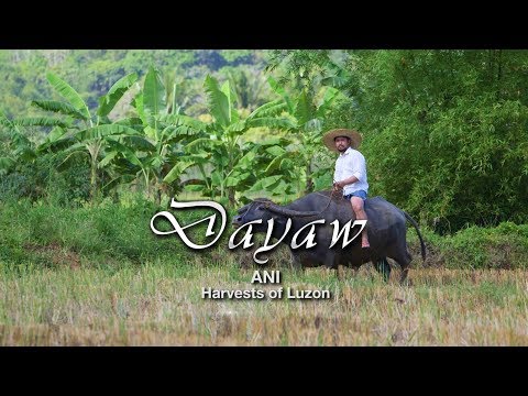 Dayaw Season 5 Episode 4: Ani | 12 July 2018