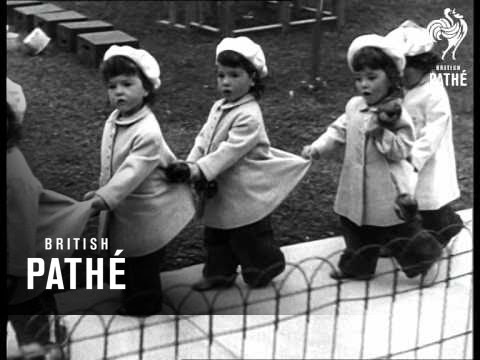 Pogo Plane Takes Off (1954)