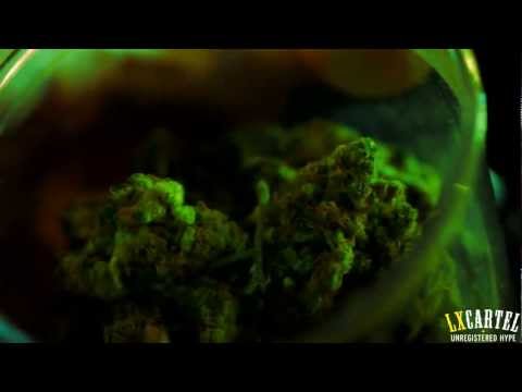 XakalDaGun -- Eles querem fumo (OFFICIAL VIDEO) #Classics