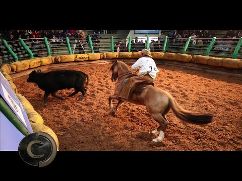 Leaders of the ABCCC Golden Brake ranking.