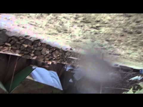 Gokul and Sudesh's  beach race