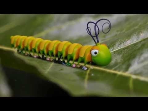 Los Zapatos del Gusano - cancion de cuna - animacion (espanol)