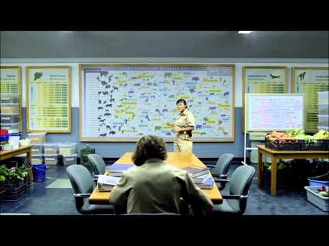 Gorilla Commercial Direct TV - Don't Get Body Slammed by a Lowland Gorilla Spot