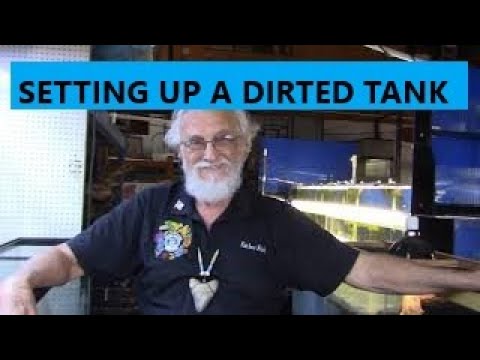 HOW TO SET UP A DIRTED TANK