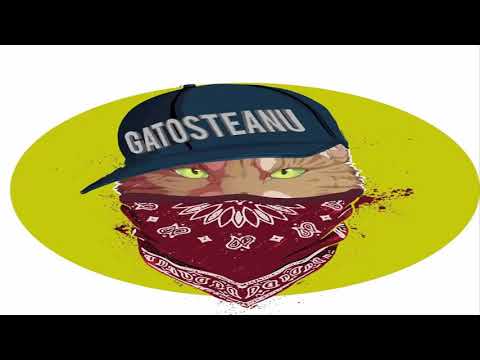 GATO - Hei, Pisico (2018)