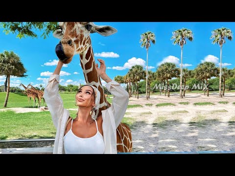 Shazam Girls Insomnia Summer Mix 2021 - Best Vocal Deep House Music Chill Out New Mix By MissDeep