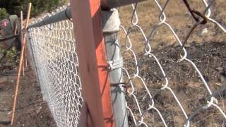 Home Improvement Tip! Fast and Affordable Fence Trick
