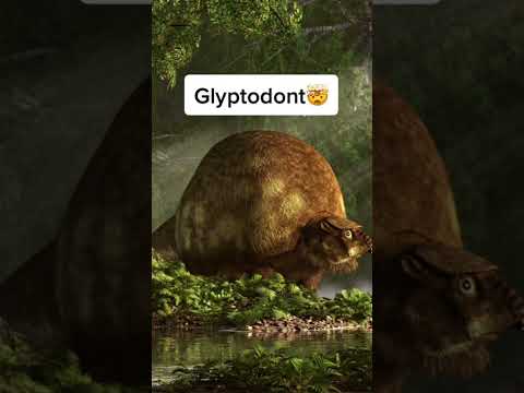 Extinct animals scientists are trying to bring back