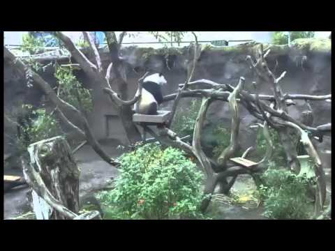 130127 Xiao Liwu Diary, Jan 27, 2012