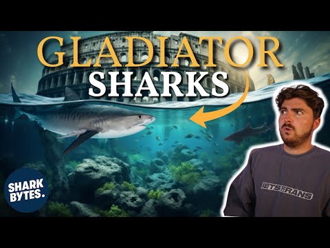 Did Gladiators REALLY Fight Sharks In Colosseums?