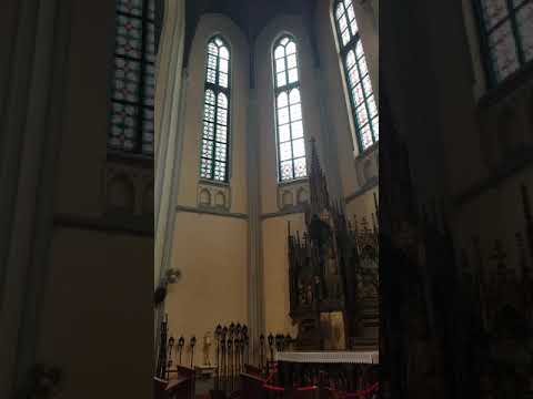 VoGM music & vocal - Ave Maria Bach