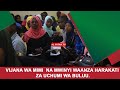 VIJANA WA MIMI NA MWINYI WAANZA HARAKATI ZA UCHUMI WA BULUU