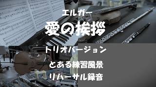 Download lagu エドワード・エルガー《愛の挨拶》(トリオ)2026.02 ohanaホール(リハーサル録音) mp3 Download lagu エドワード・エルガー《愛の挨拶》(トリオ)2026.02 ohanaホール(リハーサル録音) mp3